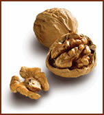 walnut and the brain